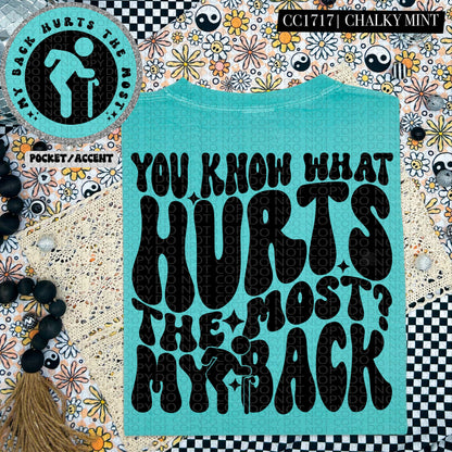 You Know What The Hurts the Most?  My Back | Comfort Colors Tee