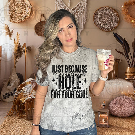 Just Because He is Good For Your Hole | Comfort Colors Tee or Gildan Crewneck Sweatshirt